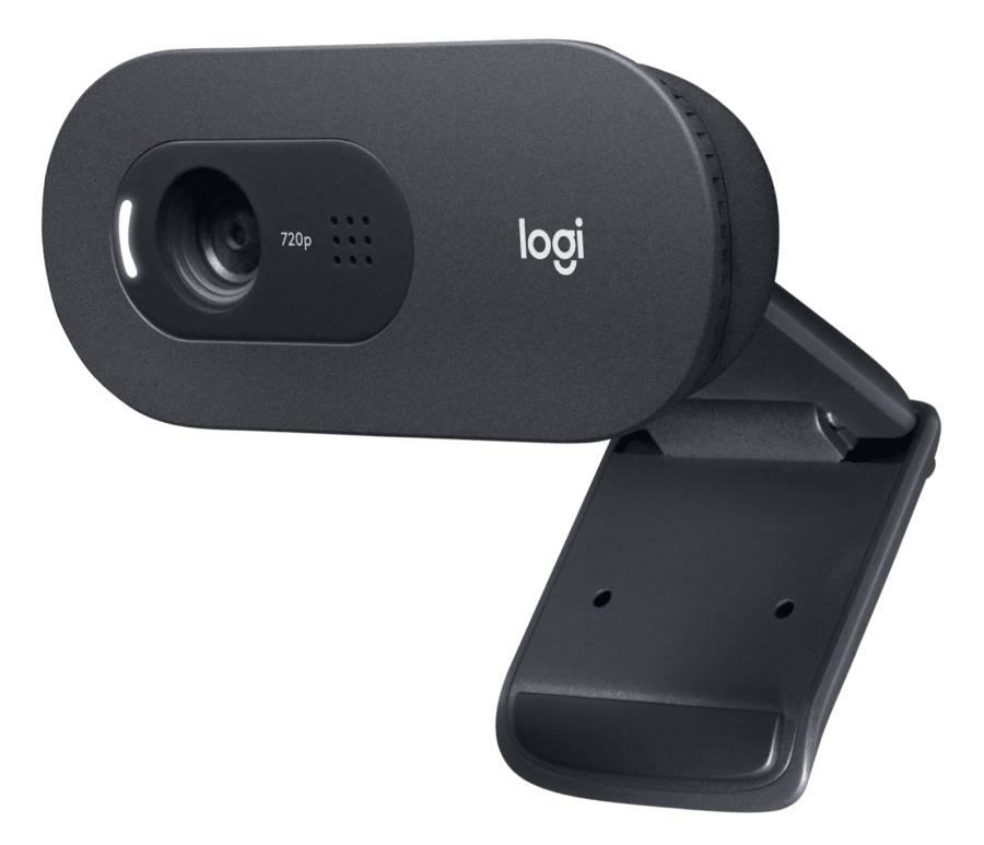 Logitech C505 HD Webcam