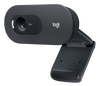Logitech C505 HD Webcam